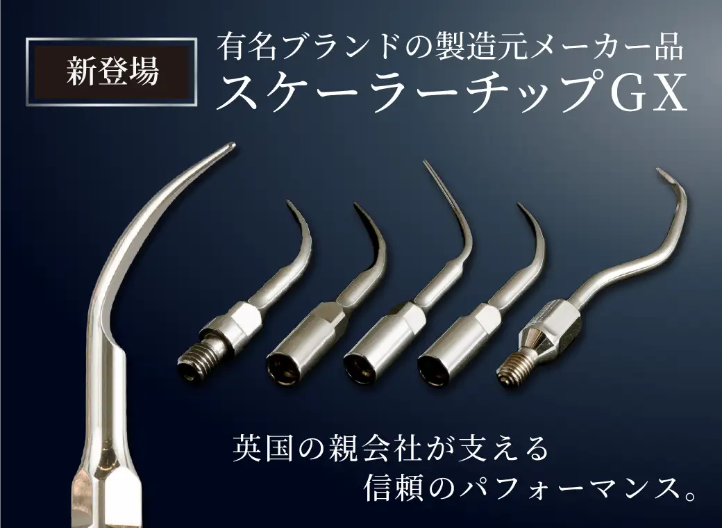 スケーラーチップGX