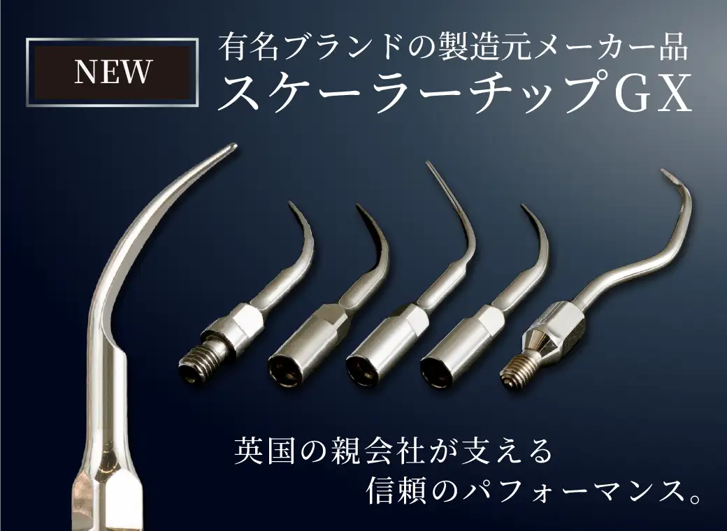 スケーラーチップGX