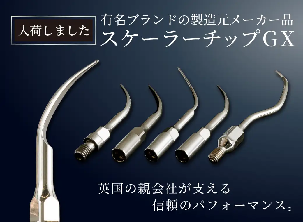 スケーラーチップGX