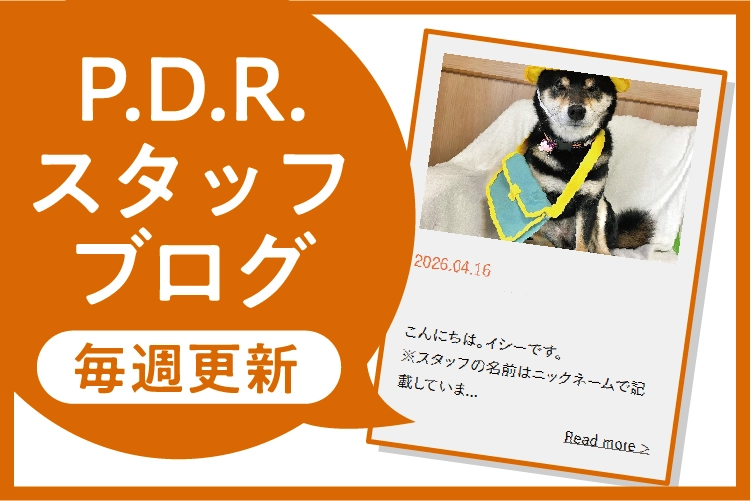 ブログ