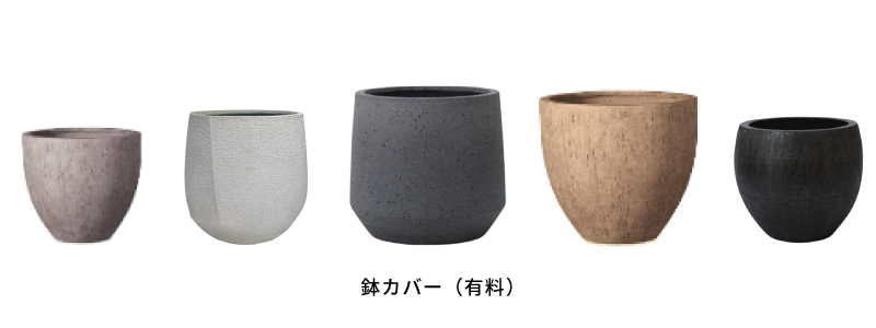 鉢1