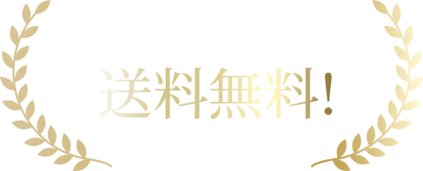 金パラ1袋でも送料無料!