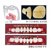ハードピュアP臼歯RHプラス（維持孔付硬質レジン歯）プレート