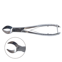 コスパ　石こう鉗子