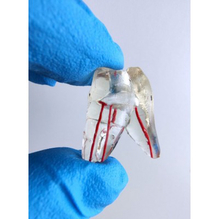 Bassi　トレーニングブロック2