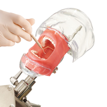 トレーニング用フェイスマネキン