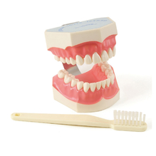 デモンストレーションモデル